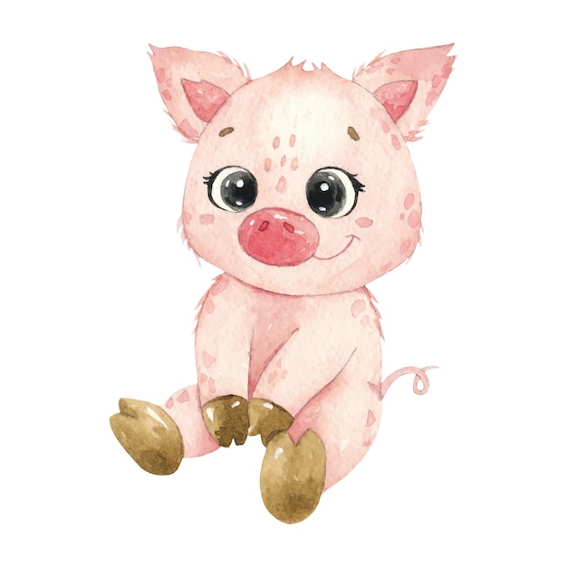 Watercolor pig animal baby piggy watercolor baby illustration