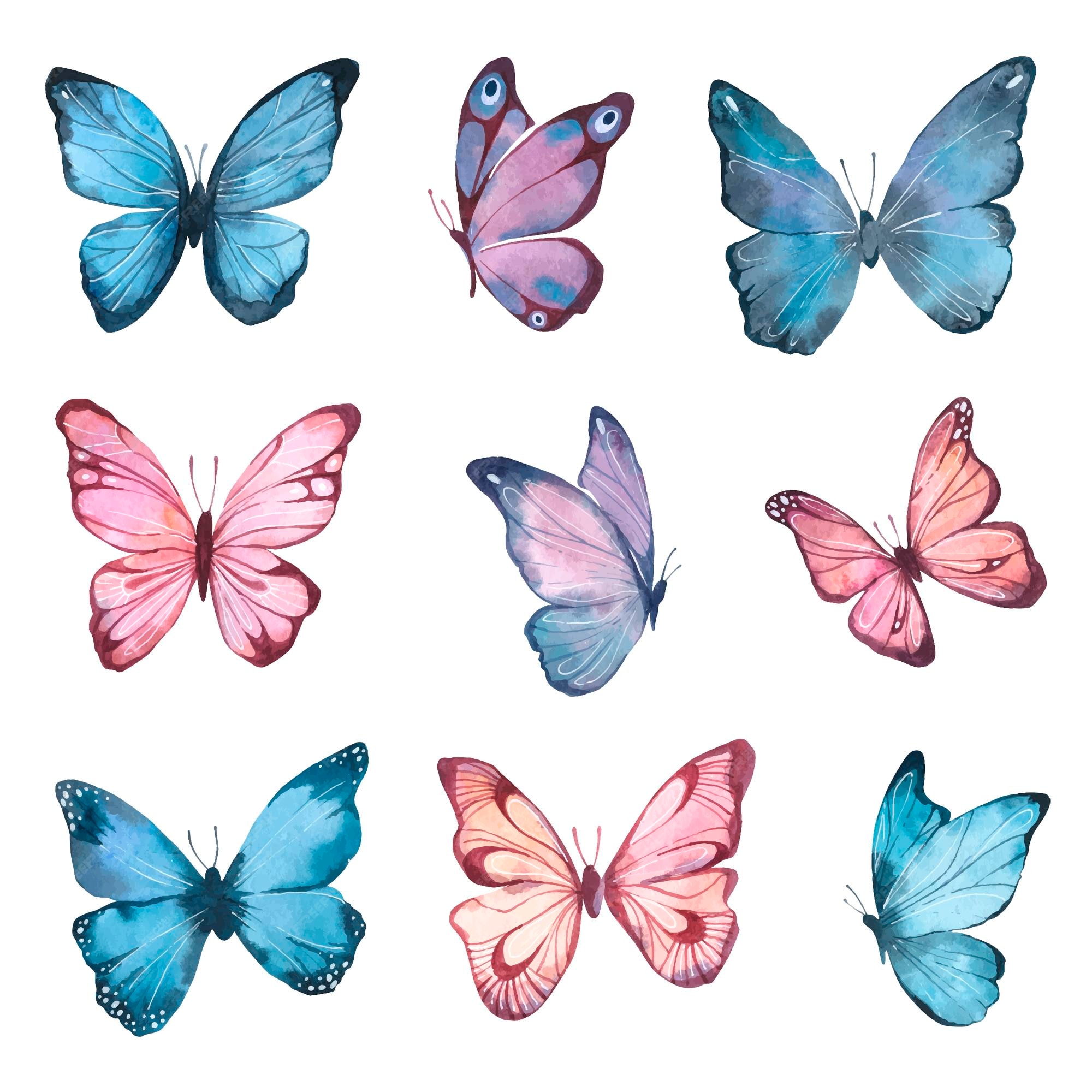 light blue butterfly clipart