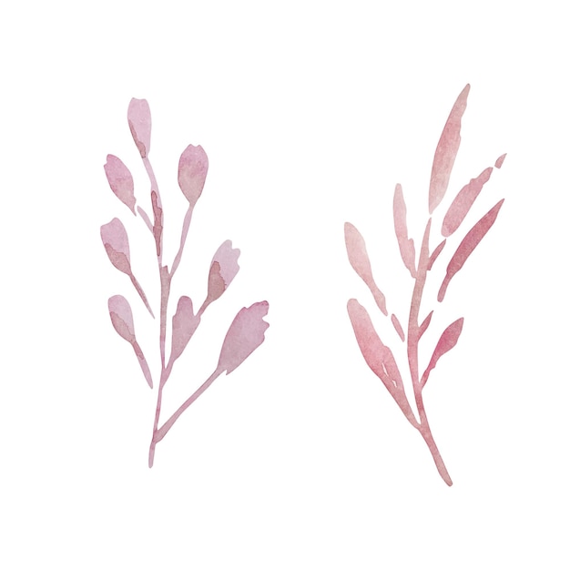 Watercolor pink branches with leaves for spring design