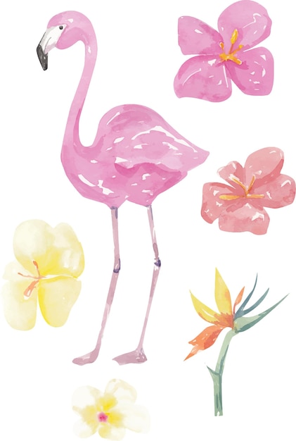 Акварель розовый фламинго