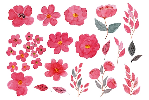 水彩のピンクの花のアレンジメントセットコレクション