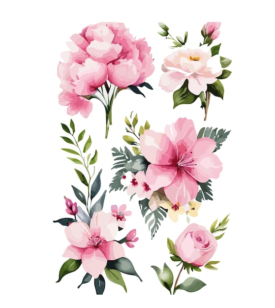 Vector watercolor pink flower collection