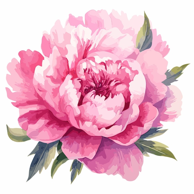 Vettore acquerello fiore rosa illustrazione digitale bouquet di fiori in design vintage