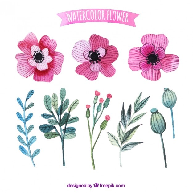 Watercolor pink flowers