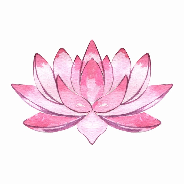 Vector watercolor pink lotus flower