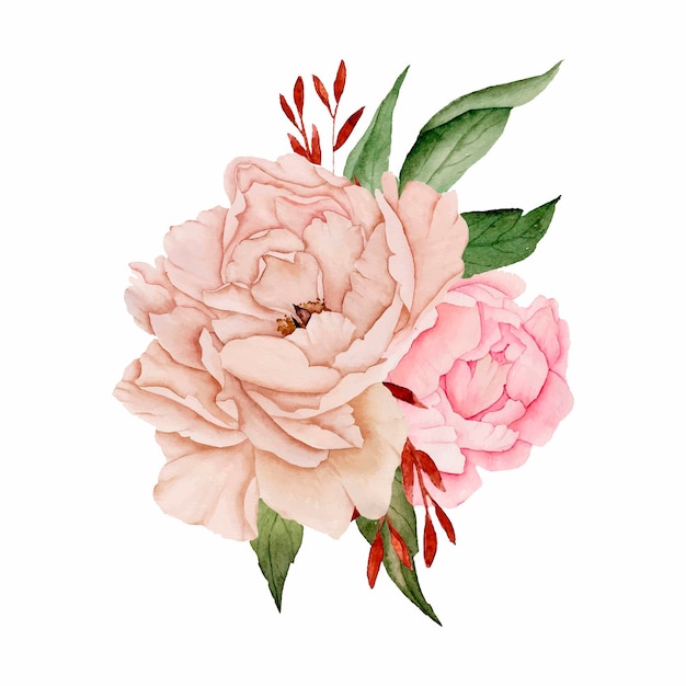 Watercolor pink peonies tender