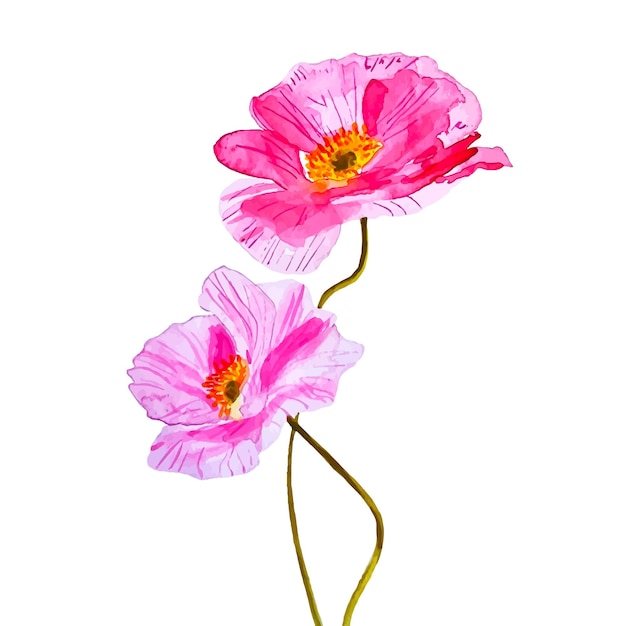 ベクトル 装飾のための水彩画のピンクのケシの野生の花のクリップアート植物組成