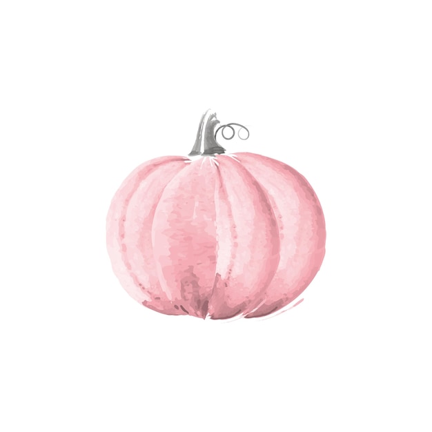 Watercolor pink pumpkin