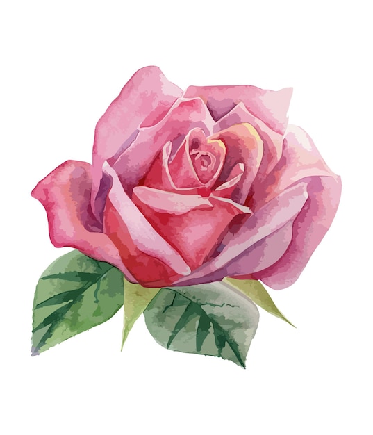 Watercolor pink rose floral bouquet Watercolor floral arrangements with beautiful flowers