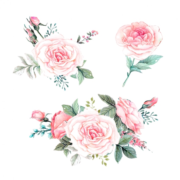 Watercolor pink roses vintage vector design set.