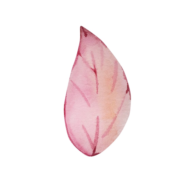 Watercolor pink yellow leaf