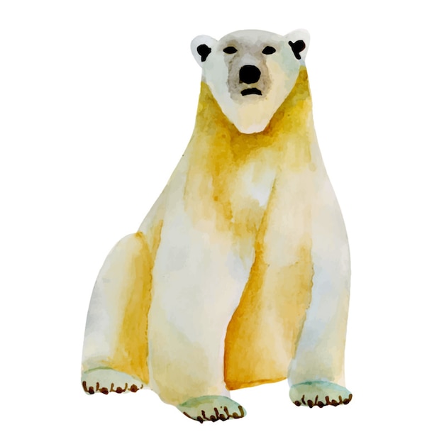 Watercolor Polar Bear