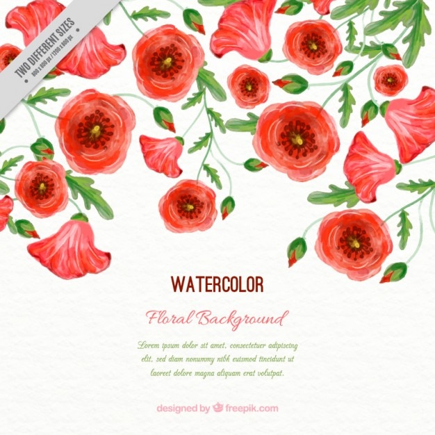 Watercolor poppies background with leaves