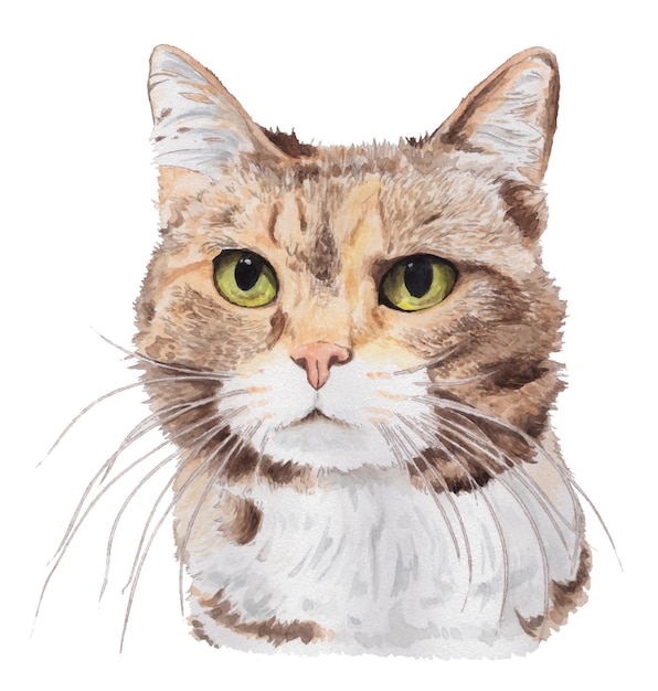 Watercolor portrait of a cat with green eyes