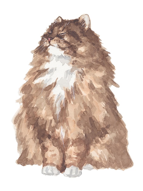 watercolor portrait of a cat