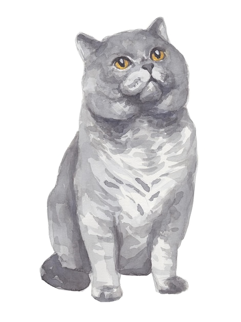 watercolor portrait of a cat