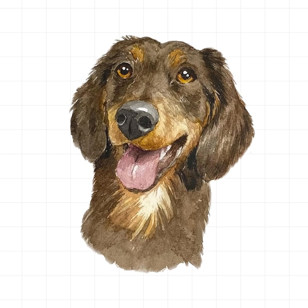 Watercolor portrait of Dachshund dog Hand drawn illustration