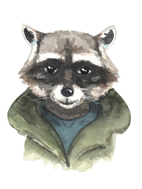 watercolor portrait of a raccoon in a jacket