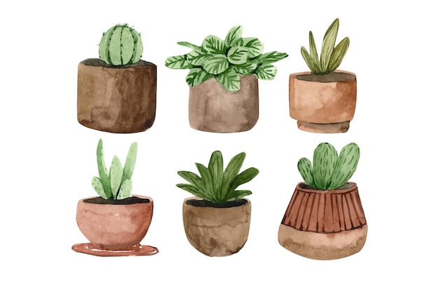 Watercolor pots of flowers home