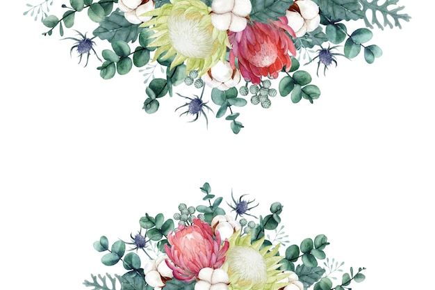 Watercolor protea flower with cotton flower and eucalyptus