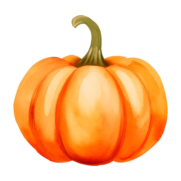 Vector watercolor pumpkin art