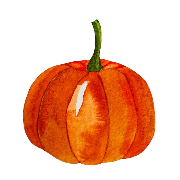 Vector watercolor pumpkin