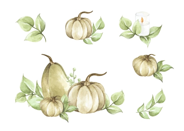 Watercolor pumpkins set. Autumn decoration floral design. Botanical illustration. Thanksgiving card.