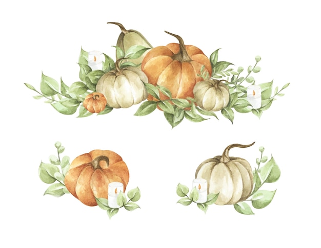 Watercolor pumpkins set. Autumn decoration floral design. Botanical illustration. Thanksgiving card.