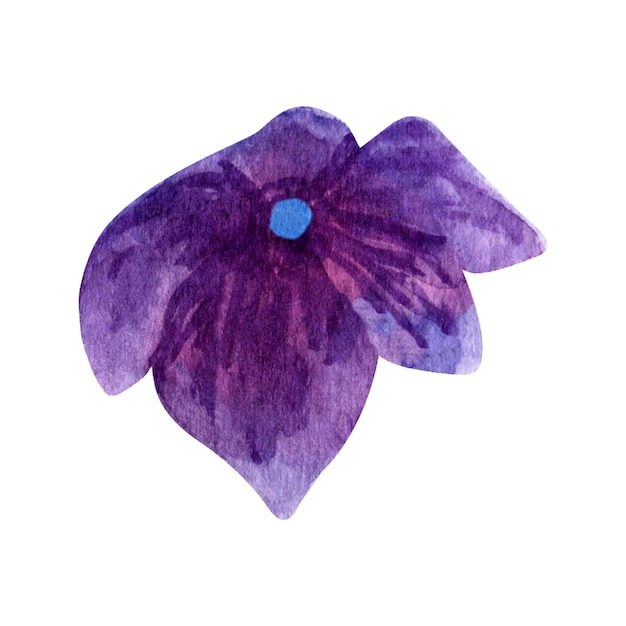 Petali di fiori d'estate clipart di fioritura dell'ortensia viola dell'acquerello