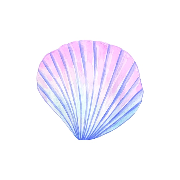 Watercolor purple seashell isolated