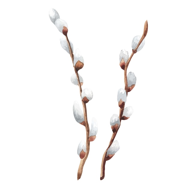 벡터 리본 봄 분기 부활절 장식 수채화 푸시 버드 나무 꽃다발