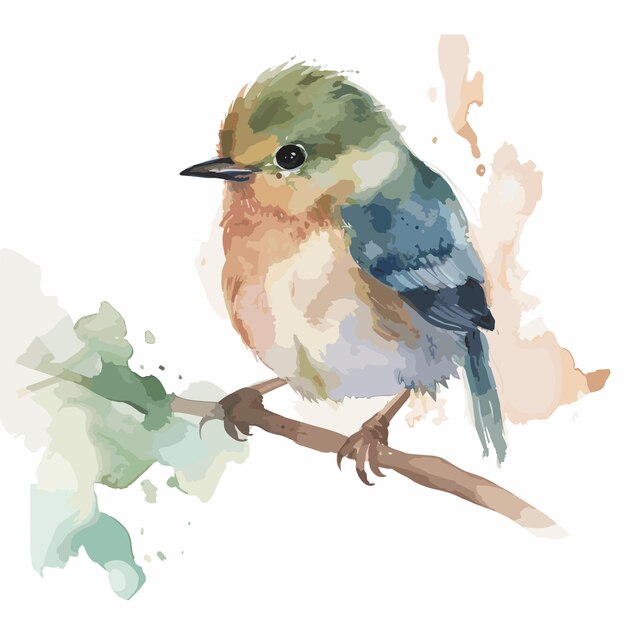 Vector watercolor realistic bird on a branch background super cute animal