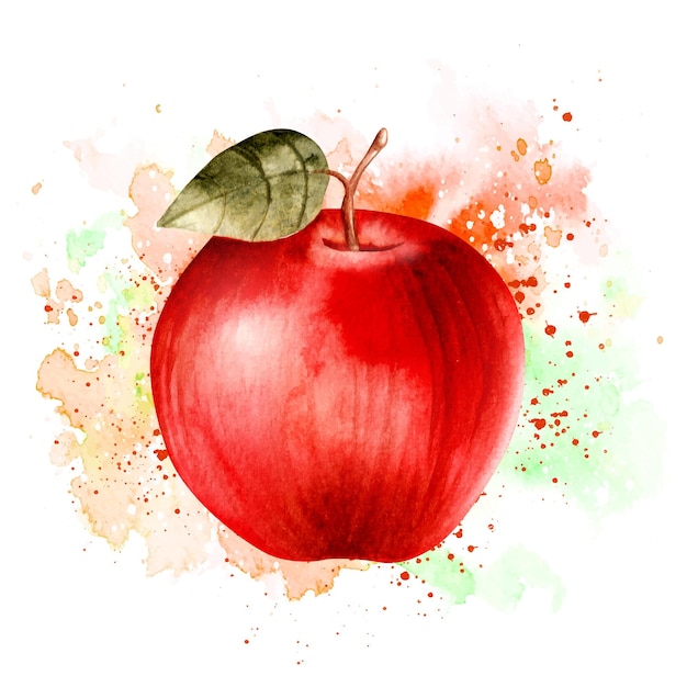 Vector watercolor realistic hand drawn fresh apple fruit