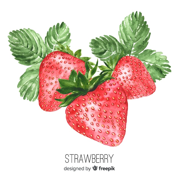 Vector watercolor realistic strawberry background