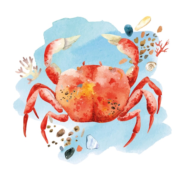 Watercolor red crab sea composition