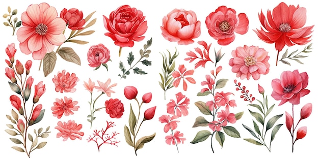 Vector watercolor red floral clipart