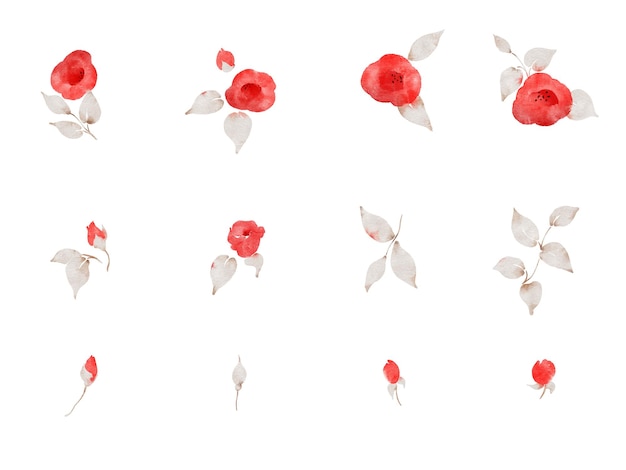 Vector watercolor red hibiskus flowers, buds and leaves collection of floral elements.