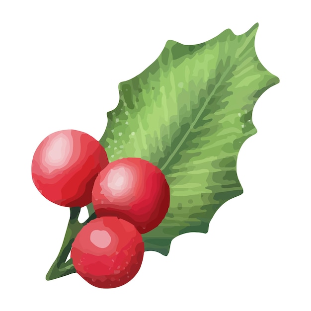 Vector watercolor red holly branch