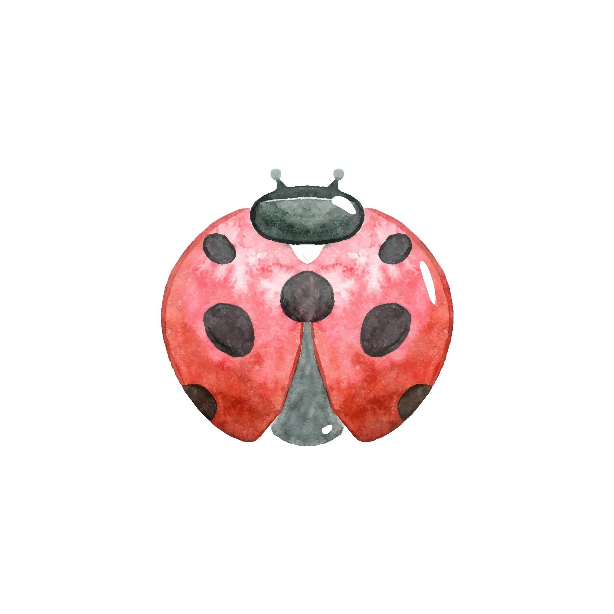 Watercolor Clipart Insect Ladybug Png Graphic by