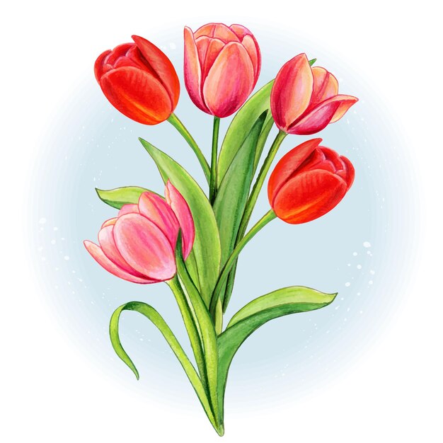 Watercolor Red And Pink Tulip Bouquet