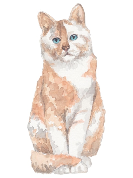 watercolor red and white cat no background