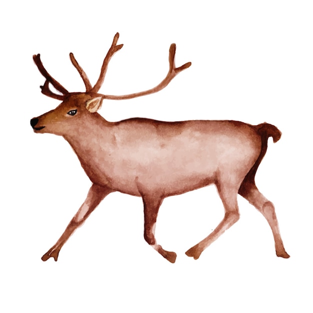 Vector watercolor reindeer