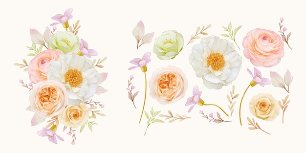 Watercolor rose peony ranunculus and dahlia flower collection