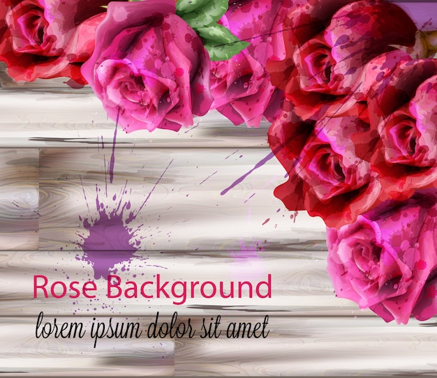 Vector watercolor roses background