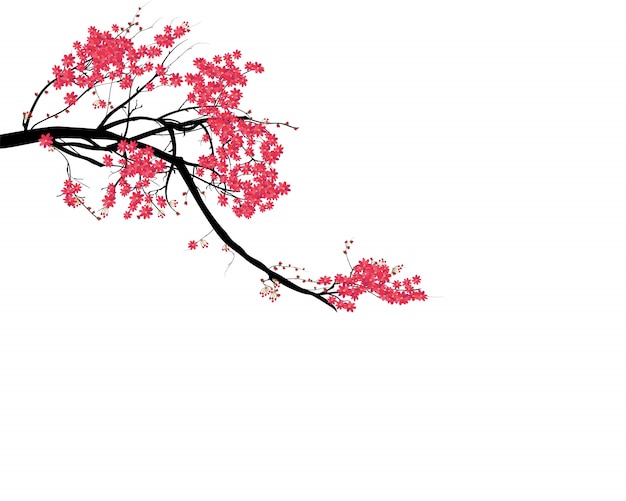 watercolor sakura frame
