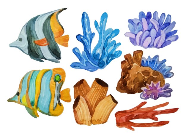 Vector watercolor sea animal elements