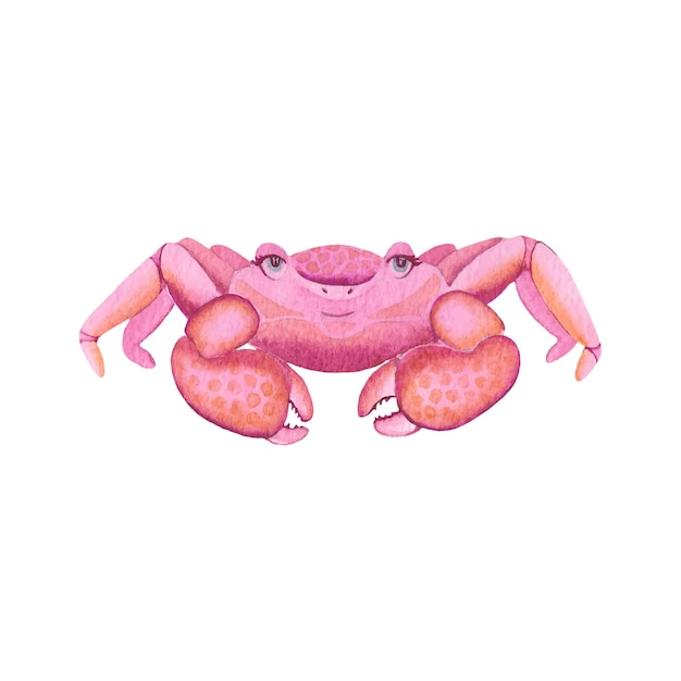 watercolor sea crab