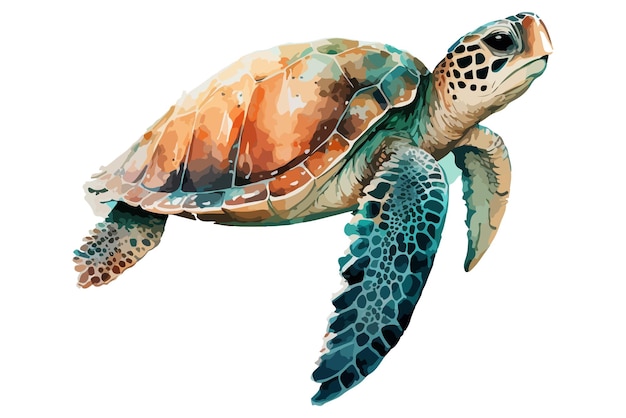 Vector watercolor sea turtle vector illustration