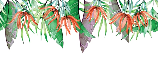 Bordo senza giunte dell'acquerello con fiori tropicali trasparenti e foglie di palma foglie di banana