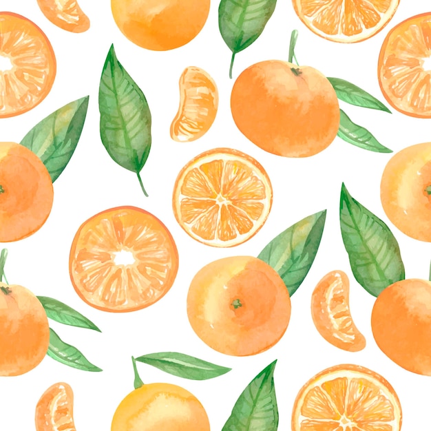 Watercolor seamless mandarin pattern. Tangerine background. Vector illustration